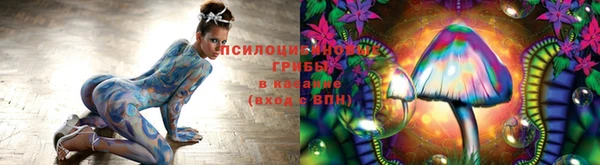 эйфоретик Костерёво