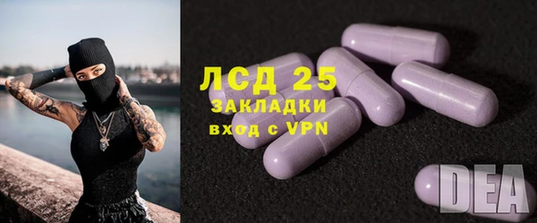 шишки Коряжма