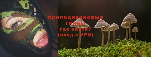 круглые Корсаков