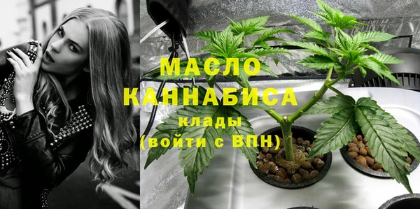 шишки Коряжма