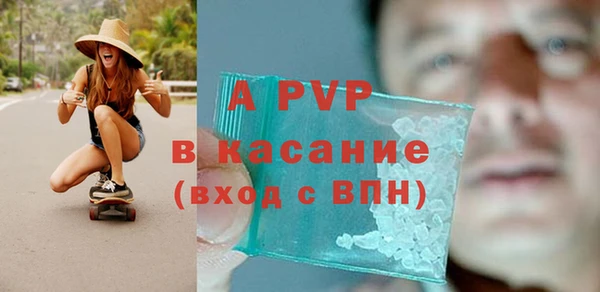 шишки Коряжма