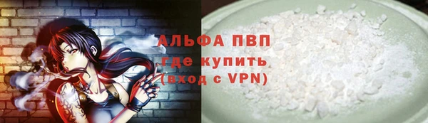 шишки Коряжма