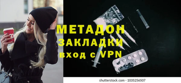 шишки Коряжма