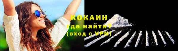 круглые Корсаков
