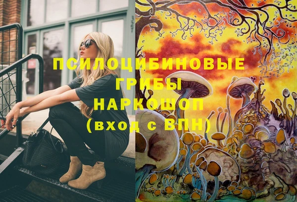 круглые Корсаков