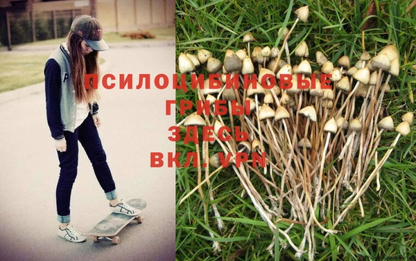 эйфоретик Костерёво