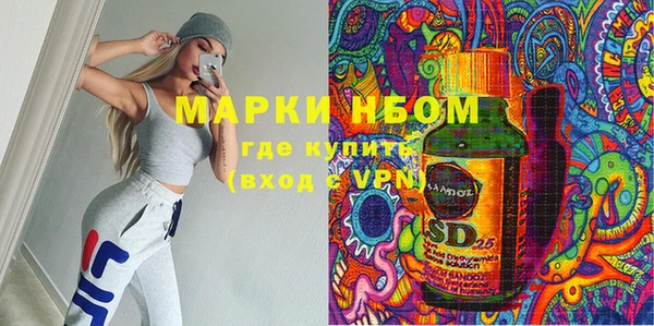 шишки Коряжма