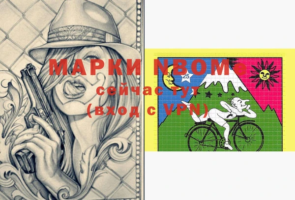 шишки Коряжма