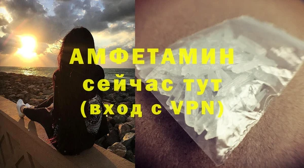 шишки Коряжма