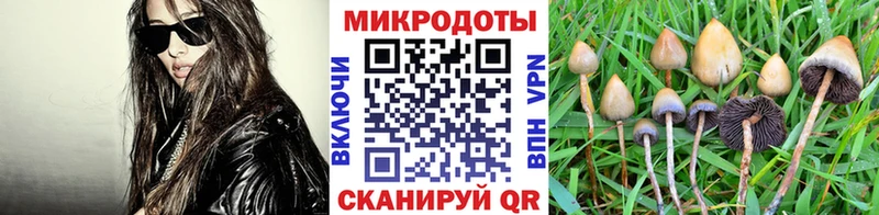 Купить где  Минусинск  Псилоцибиновые грибы GOLDEN TEACHER 