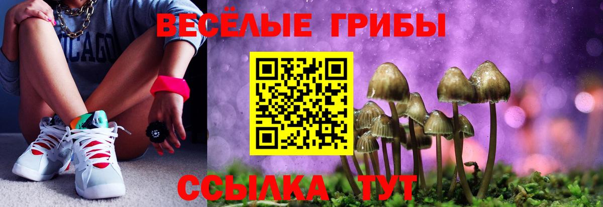 Псилоцибиновые грибы прущие грибы  Вход с VPN  Галлюциногенные грибы мухоморы  Минусинск 